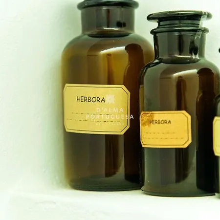 Διαμέρισμα Terracota By Dalma Portuguesa *