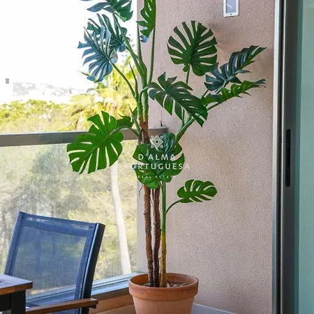 Terracota By Dalma Portuguesa * 阿尔布费拉