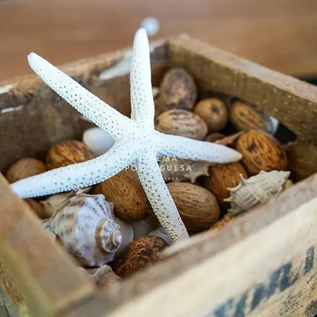 公寓 Terracota By Dalma Portuguesa