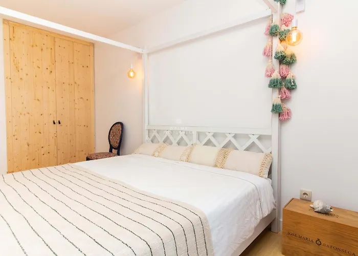 Terracota By Dalma Portuguesa *